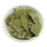 Plant leaves Ginkgo Biloba Leaves Chinese Wild Ginkgo Tea Medicinal Herbal Tea