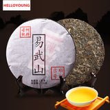 100g Cha Puer Tea Pu erh Yunnan High Quality Green Tea Premium Puerh Tea Healthy