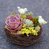 4 Sizes New Handmade Vine Brown Bird Nest House Home Nature Craft Holiday Decoration