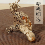 100gBig Cordyceps Sinensis 大虫草 Golden Cicada Flower / Isaria cicadae Miq / 金蝉花