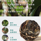 Natural Health Tea Bingdao Pu'er Tea 柔香清甜天然健康 新益号牌 冰岛甜 冰岛古树普洱茶 小沱茶 龙珠生普洱小粒装云南茶叶