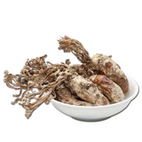 100gBig Cordyceps Sinensis 大虫草 Golden Cicada Flower / Isaria cicadae Miq / 金蝉花