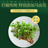 北京同仁堂菊苣马齿苋茶 Beijing Tongrentang Ju Ju Ma Chi Xian Cha Jujumachixiancha